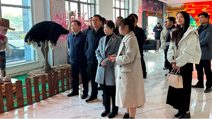 2月29日，湖北省随州市人民政府副市长罗兰一行莅临龙腾文化考察调研
